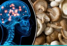 8 მიზეზი იმისა, თუ რატომ უნდა ჭამოთ სოკო უფრო ხშირად..