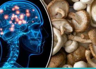 8 მიზეზი იმისა, თუ რატომ უნდა ჭამოთ სოკო უფრო ხშირად..