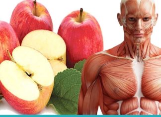 ვაშლის სასარგებლო და საზიანო თვისებები ჩვენი ჯანმრთელობისთვის