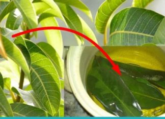 ებრძოლეთ დიაბეტს მედიკამენტების გარეშე! ეს ბუნებრივი საშუალება დაგეხმარებათ ამაში