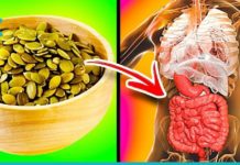 დაემშვიდობეთ ყაბზობას და ქოლესტერინს გოგრის თესლის საშუალებით