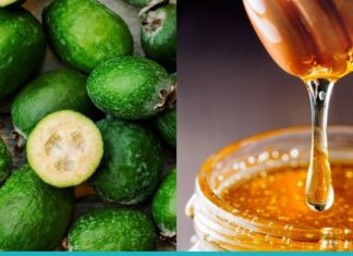 ფეიხო და თაფლი- მრავალი დაავადების მკურნალი ნაზავი!