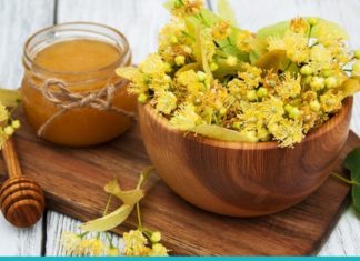 ცაცხვის საოცარი სასარგებლო თვისებები