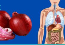 წითელი ხახვი-როგორც ძლიერი ანტიბიოტიკი. გაიგეთ მეტი