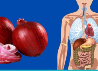 წითელი ხახვი-როგორც ძლიერი ანტიბიოტიკი. გაიგეთ მეტი