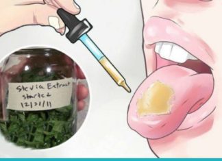 როგორ დავანებოთ თავი მოწევას 3 წვეთი სტევიას მეშვეობით?