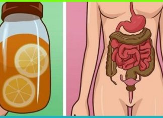 გასუფთავდით არასასურველი ტოქსინებისგან ლიმონისა და  ვაშლის მეშვეობით