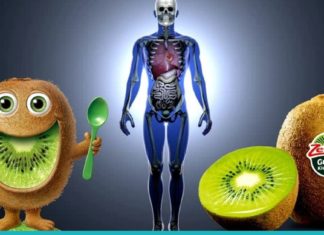 რა სარგებელის მოტანა შეუძლია კივს, თუ ყოველდღე მივირთმევთ მას?