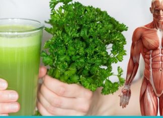 დალიეთ ოხრახუშის წვენი ორგანიზმში ჭარბი მარილების დასაშლელად