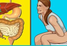 აბუსალათინის ზეთის გამოყენება ყაბზობის სამკურნალოდ. ეფექტური მეთოდი