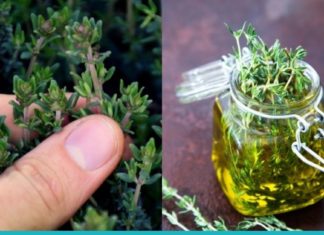 ეს კოქტეილი სამუდამოდ მოგიხსნით თავბრუსხვევას და ქრონიკულ დაღლილობას, დაგავიწყებთ ართრიტს და ფარისებრი ჯირკვლის პრობლემებს