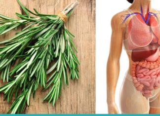 10 მიზეზი თუ რატომ უნდა მიიღოთ როზმარინი ყოველდღე