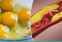 მიირთვით დღეში 3 კვერცხი და ნახეთ რა დაემართება თქვენს ორგანიზმს. ნეტავ აქამდე მცოდნონა