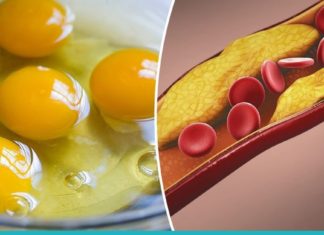 მიირთვით დღეში 3 კვერცხი და ნახეთ რა დაემართება თქვენს ორგანიზმს. ნეტავ აქამდე მცოდნონა