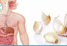 აი, რატომ უნდა მიიღოთ ნიორი უზმოზე. ამის შესახებ ყველამ უნდა იცოდეს!