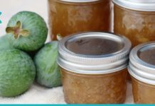 ნატურალური პროდუქტი, რომელიც იოდის უდიდესი წყაროა.