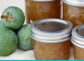 ნატურალური პროდუქტი, რომელიც იოდის უდიდესი წყაროა.