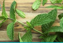 პიტნის გამოყენების 9 გზა, რომელიც აუცილებლად გამოგადგებათ