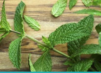 პიტნის გამოყენების 9 გზა, რომელიც აუცილებლად გამოგადგებათ