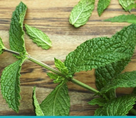 პიტნის გამოყენების 9 გზა, რომელიც აუცილებლად გამოგადგებათ