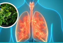 გაიწმინდეთ ფილტვები ბალახეულით