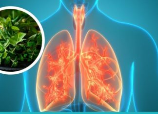 გაიწმინდეთ ფილტვები ბალახეულით