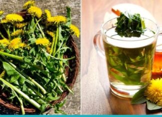 ბაბუაწვერა- უნივერსალური მკურნალი საშუალება!