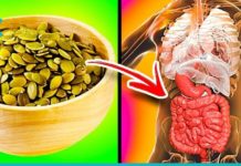 პროსტატის, დიაბეტის, ქოლესტერინის და გასტრიტის მკურნალობა გოგრის საშუალებით