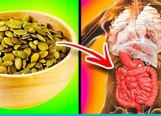 პროსტატის, დიაბეტის, ქოლესტერინის და გასტრიტის მკურნალობა გოგრის საშუალებით