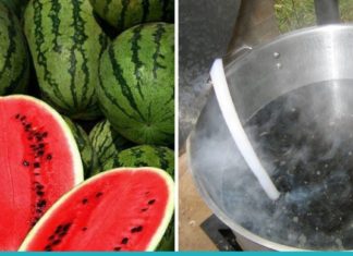 წამოადუღეთ საზამთროს მარცვლები და დალიეთ. საოცრად სასარგებლოა!