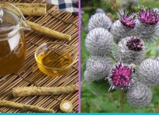 Ბურდოკის წვენით მკურნალობა ძველი დადასტურებული საშუალებაა