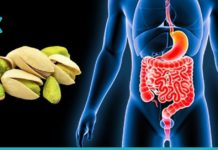 ფისტას სასარგებლო თვისებები ადამიანის ჯანმრთელობისთვის