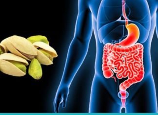 ფისტას სასარგებლო თვისებები ადამიანის ჯანმრთელობისთვის