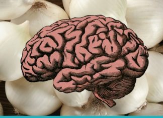 ეს პროდუქტები ხელს უშლიან მეხსიერების დაკრგვას და აღადგენენ ტვინის ფუნქციას 100%-ით.