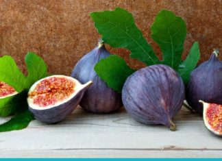 ლეღვის ფოთლები! დაემშვიდობეთ დიაბეტს და დაბალ ტრიგლიცერიდებს!