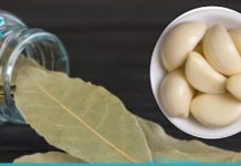 ვერასდროს წარმოვიდგენდი, რომ ნიორით და დაფნით ამის გაკეთება შესაძლებელი იყო