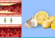 ამ გერმანული მეთოდის დახმარებით შეიმცირებთ ქოლესტერინს და აიმაღლებთ იმუნიტეტს!