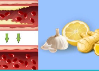ამ გერმანული მეთოდის დახმარებით შეიმცირებთ ქოლესტერინს და აიმაღლებთ იმუნიტეტს!