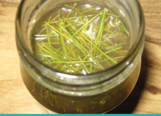 ამ სასმელს “ახალგაზრდობის ელექსირს” უწოდებენ. ის მრავალ დაავადებას კურნავს