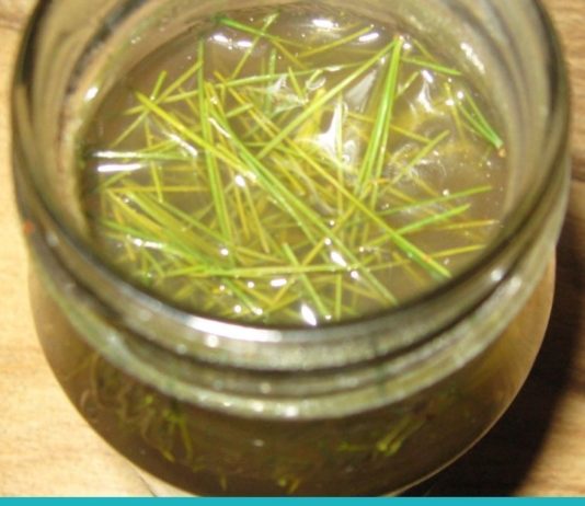 ამ სასმელს “ახალგაზრდობის ელექსირს” უწოდებენ. ის მრავალ დაავადებას კურნავს