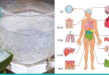 არასოდეს დახარჯოთ მედიკამენტებზე, გამოიყენეთ ალოე ვერას სამკურნალო სარგებელი