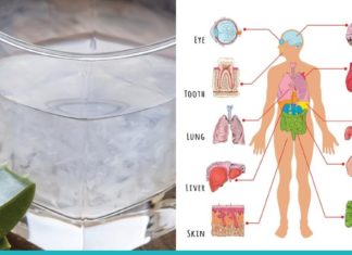 არასოდეს დახარჯოთ მედიკამენტებზე, გამოიყენეთ ალოე ვერას სამკურნალო სარგებელი