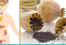 საუკეთესო მცენარეები ჰორმონების რეგულირებისთვის