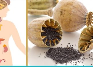 საუკეთესო მცენარეები ჰორმონების რეგულირებისთვის