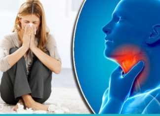 გრიპისა და გაციების პრევენცია და მკურნალობა ფიჭვის კვირტებით