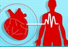 Ჰიპერტენზიის სამკურნალო ხალხური საშუალება