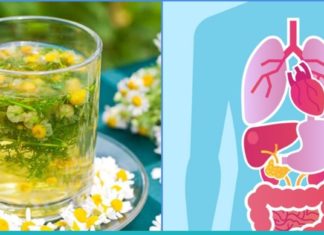 გვირილის ნაყენი შეუცვლელია თავისი სამკურნალო თვისებებით