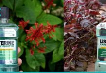 ლისტერინის გამოყენების საინტერესო და სასარგებლო გზები