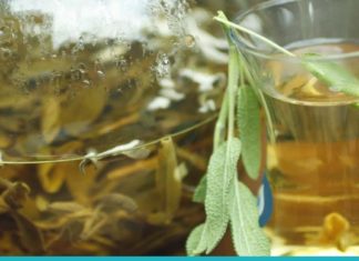 აქ მოცემულია 3 რეცეპტი, რომლებიც აუცილებელია კანისა და მთლიანი ორგანიზმის გასაჯანსაღებლად