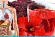 კარკადეს შეუფასებელი მნიშვნელობა ადამიანის ორგანიმისთვის